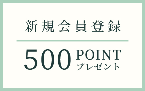 新規会員登録 500point プレゼント