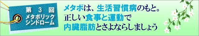 メタボは、生活習慣病のもと。正しい食事と運動で内臓脂肪にさよならしましょう