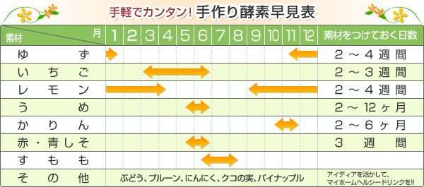 手軽でカンタン！手作り酵素早見表