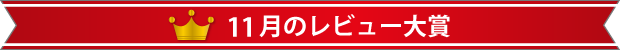 11月のレビュー大賞