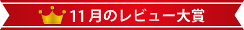 11月のレビュー大賞