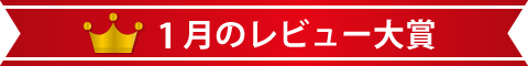 1月のレビュー大賞